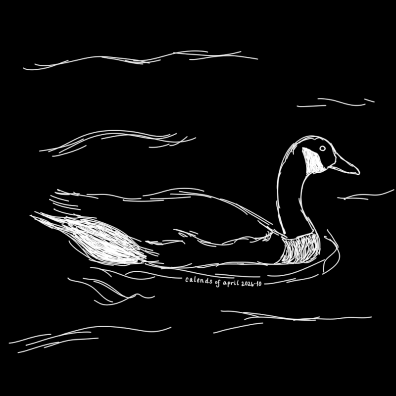 Canada goose on the river — October 6 sketch