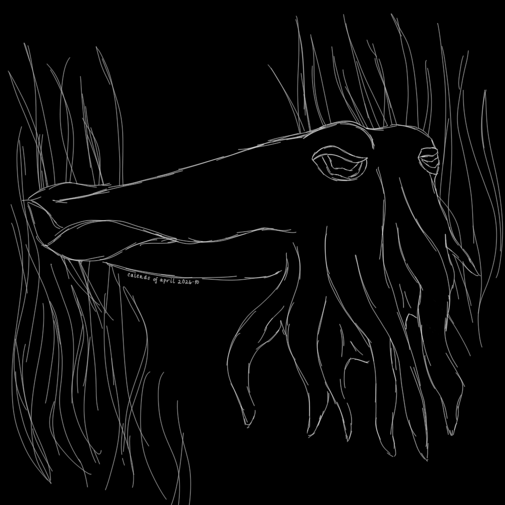 Cuttlefish — October 8 sketch