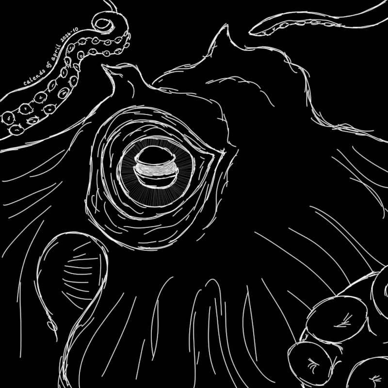 Close up sketch of a giant Pacific octopus, focused on the eye. The eye has the characteristic horizontal pupils and is surrounded by ridges, giving the octopus an intense expression. There are tentacles with suckers in the foreground and background. This is a simple sketch, with sketchy white lines on a black background.